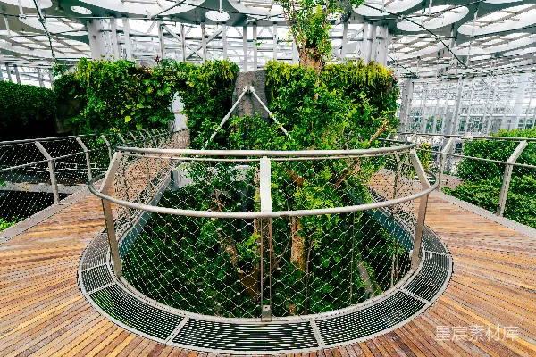 现代室内花园，有圆形步道和繁茂的植物。