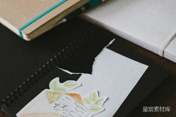 高清摄影 白色和棕色的书放在黑色皮革的盒子里