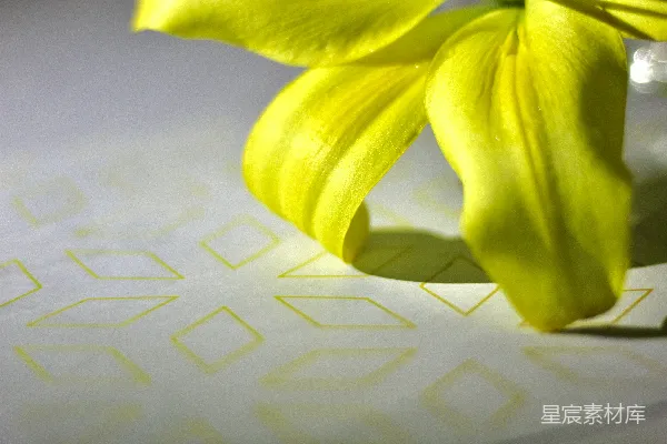 高清摄影 一张桌子上放着一朵黄色的花。