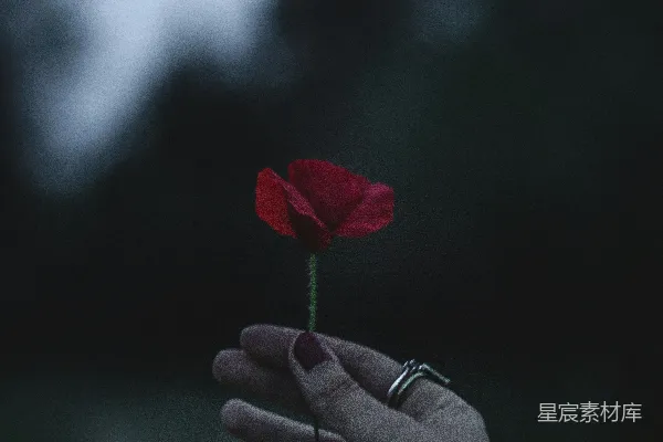 举花之人