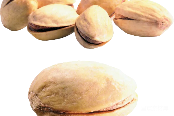元素素材 核桃