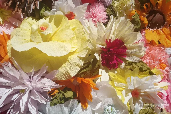 高清摄影 一束五颜六色的花