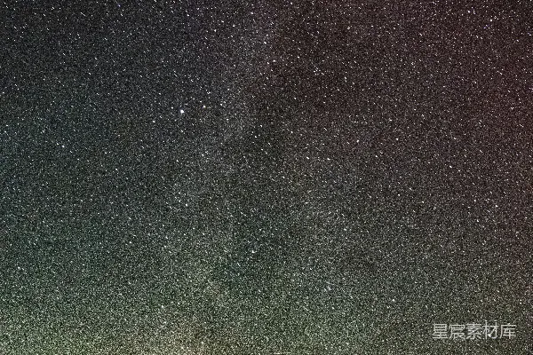 一片浩渺的星空映衬着轮廓分明的树木。