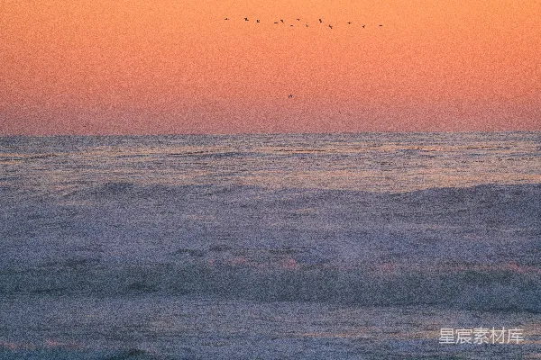 夕阳下海面上飞翔的鸟群
