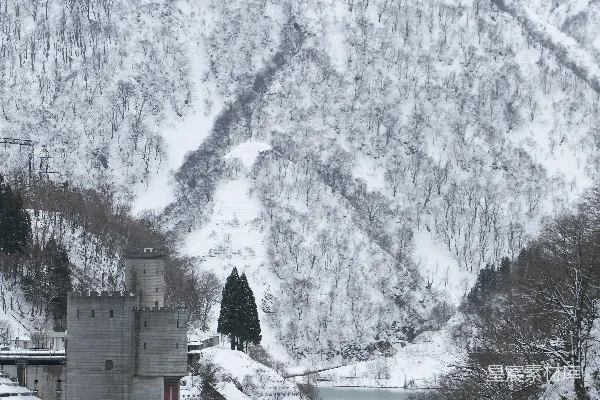 一片被雪山环绕的大片水域