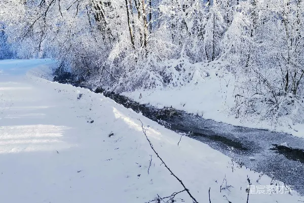 一条河流穿过覆盖着白雪的森林