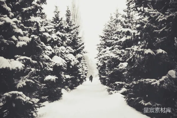一个人走在覆满积雪的小路上