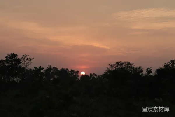 远处的树木上方正落下夕阳。