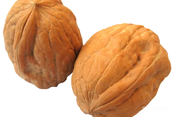 元素素材 核桃