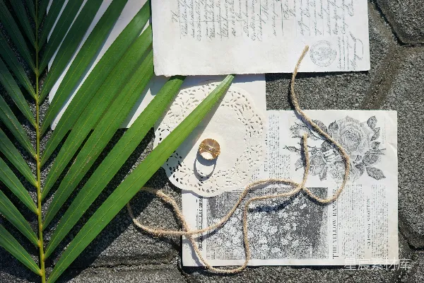 高清摄影 一枚结婚戒指放在有绿色植物的餐垫上。
