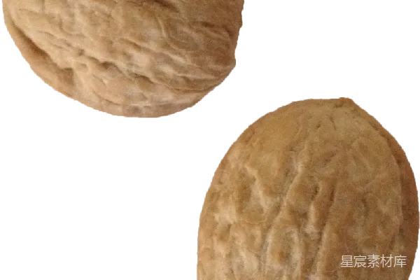 元素素材 核桃
