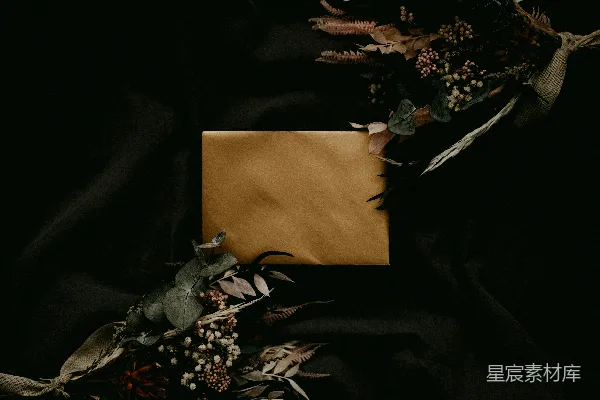 高清摄影 白底黑花纺织品