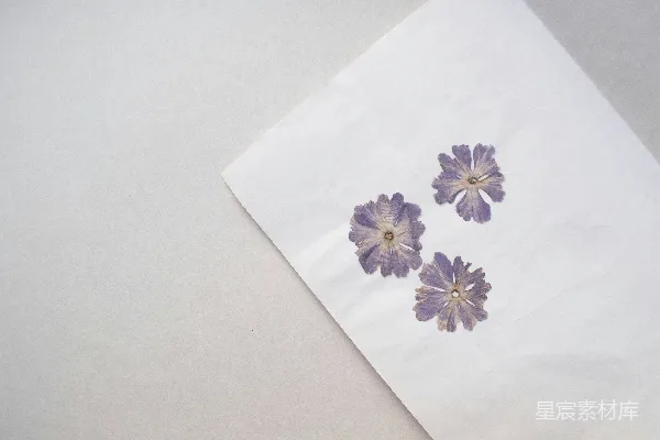 高清摄影 上面有紫色花朵的白色餐巾纸