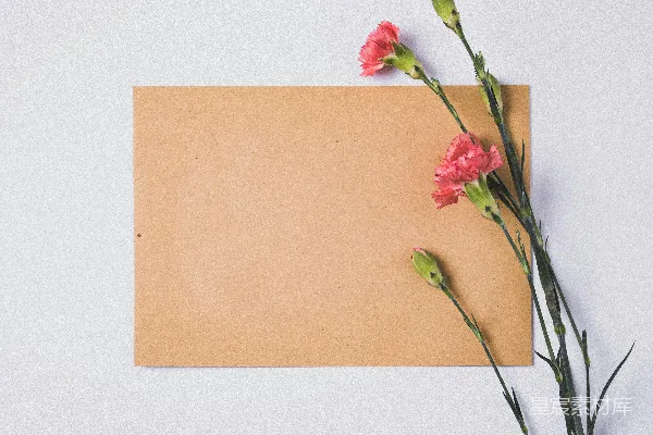 高清摄影 棕色纸上的粉绿色花