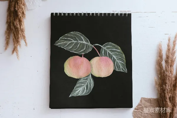 高清摄影 黑白色调的花卉画