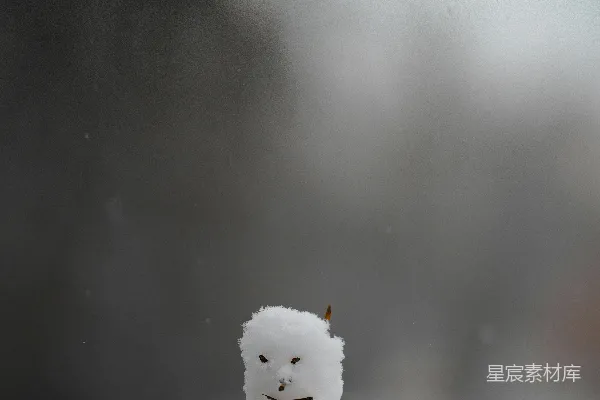 头戴雪花的白雪人