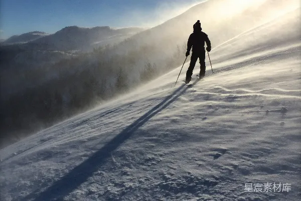 白天滑雪者在树旁冰面上滑行