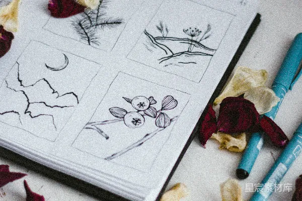 高清摄影 黑白花卉素描
