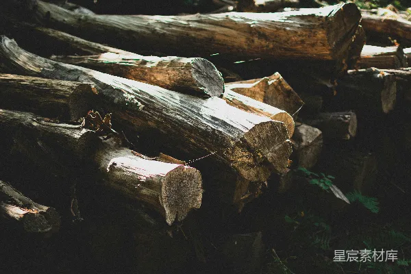 棕色木头 logs 放在绿色草地上