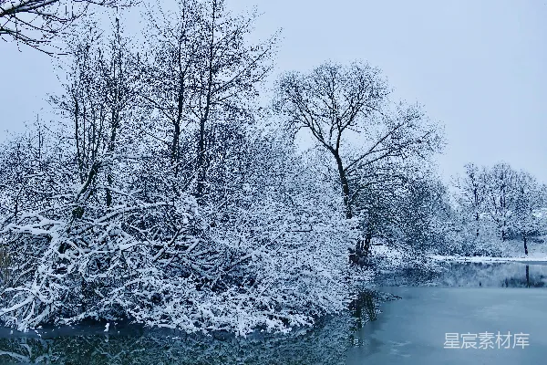 一片雪覆盖的风景，河畔有树。