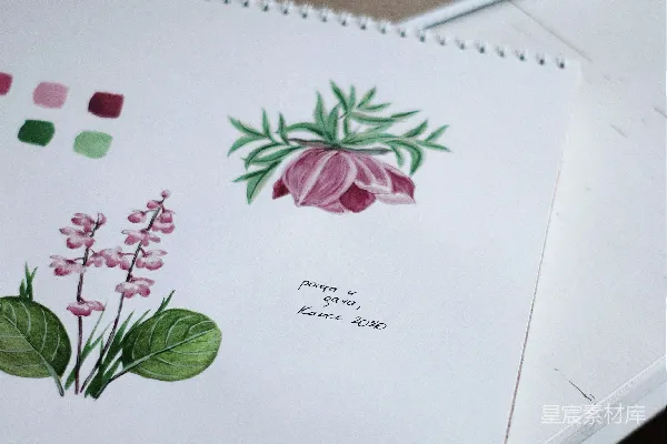 高清摄影 白绿红花束款贺卡