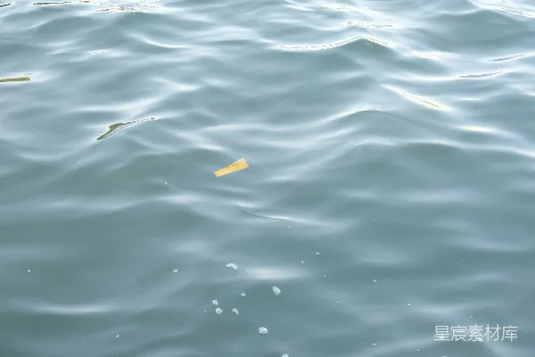 高清摄影 漂浮在水面上的黄色物体