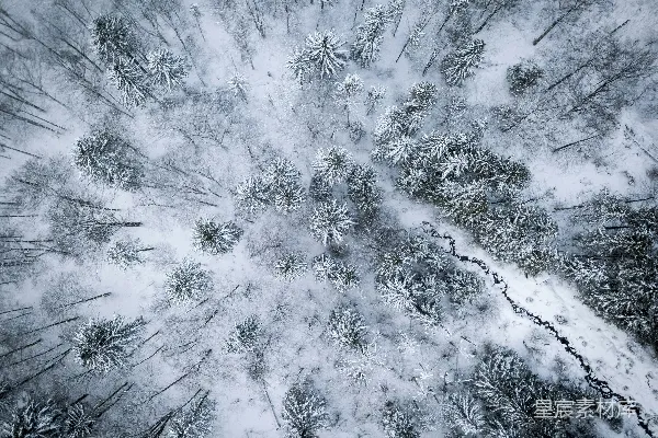 森林覆盖地区的雪景航拍