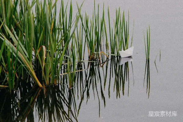 高清摄影 一艘小船漂浮在水面上