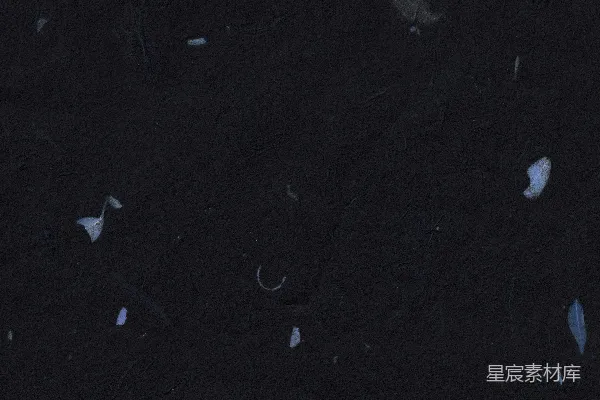高清摄影 暗色背景上的白色散射粒子