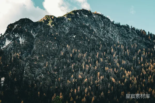山顶有很多树木的高大山脉