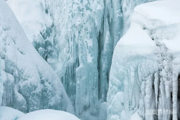白天树木覆雪