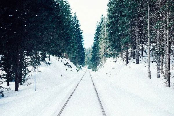 近处树木下的道路上覆满了雪