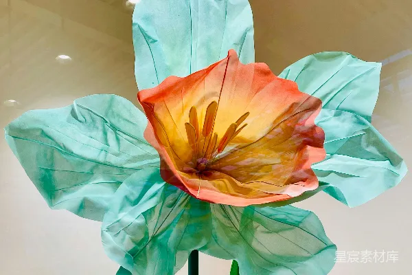高清摄影 一个花瓶里插着一朵花。