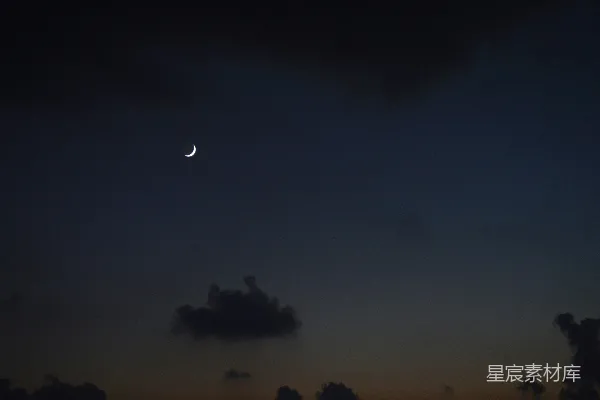 白天黑鸟在白云下飞翔