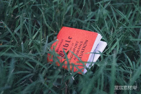 高清摄影 一本书坐落在一片草地的中央。