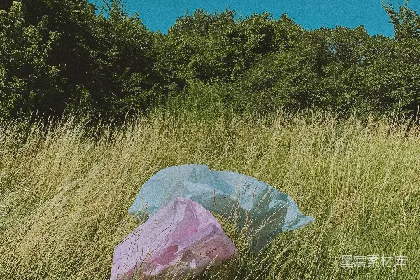 高清摄影 绿色的草