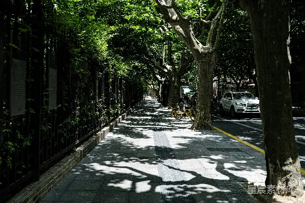 绿树夹道旁，灰色混凝土路。