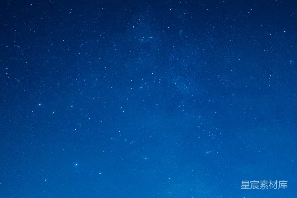 夜空布满了星星和树木