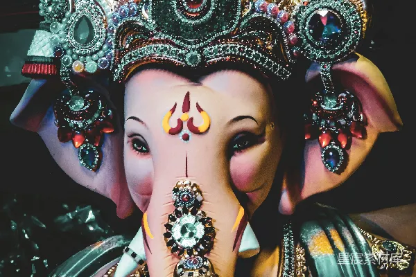高清摄影 象头神