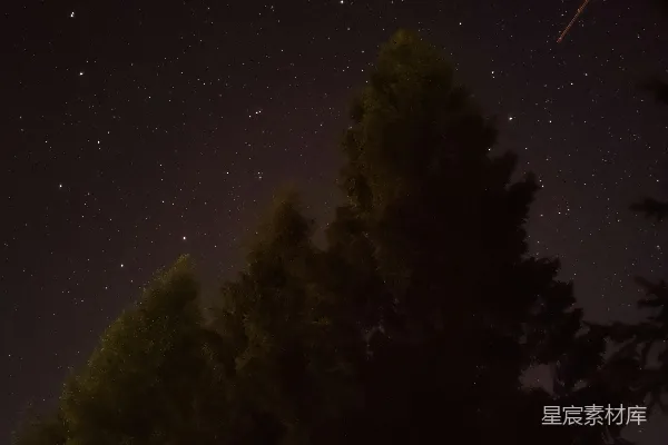夜幕下的绿树蓝天