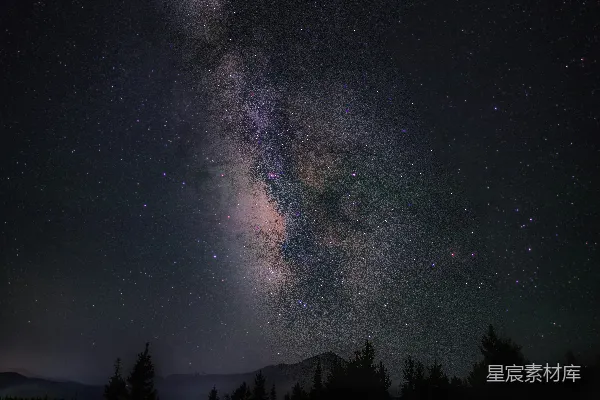 高清摄影 一片草地和树木在星空满布的夜空中。