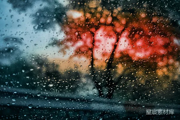 高清摄影 透过一扇被雨水覆盖的窗户看树的景象
