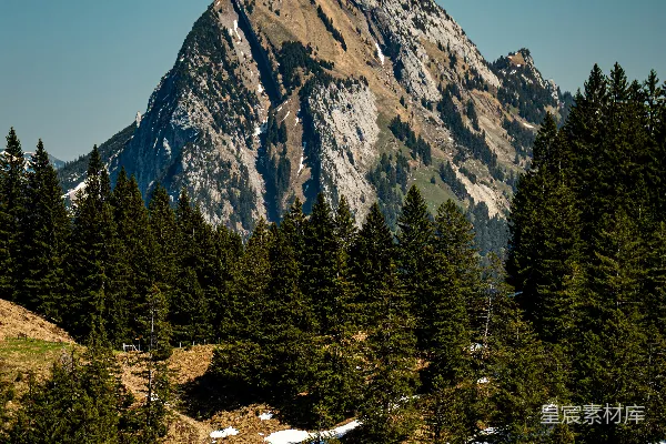 嶙峋山峰拔地而起，矗立于松林之上