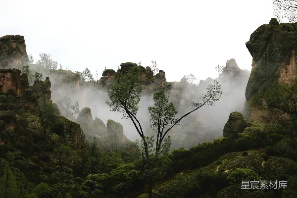 一个有树和石头的雾气缭绕的小山谷