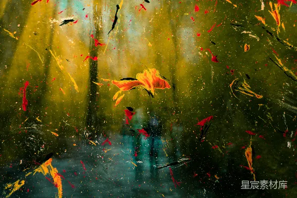 高清摄影 白天水面上的棕叶