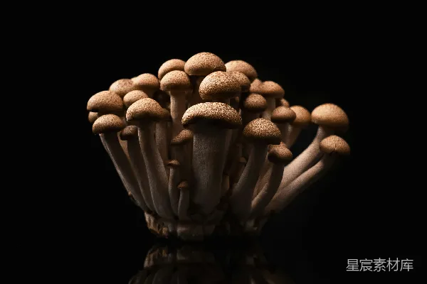 一片黑色背景上簇拥着棕色的蘑菇。