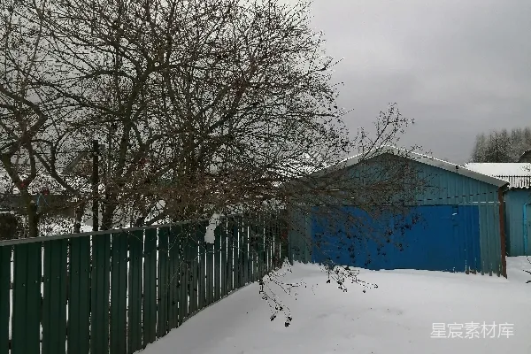 一堵围栏和一棵覆盖着白雪的树