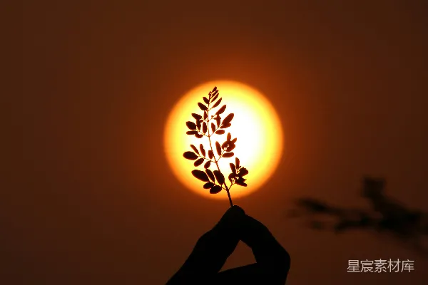 高清摄影 剪影中的人拿着太阳。