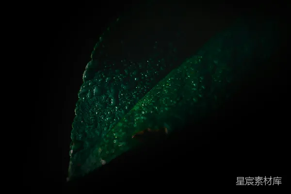 一个绿色物体的特写镜头，在黑暗中。