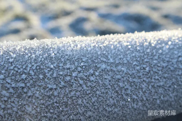 一幅近景画面，覆盖着雪花的表面